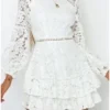 Women‘s Party Dress Wedding Guest Dress Lace Dress Cocktail Dress Mini Dress White Long Sleeve Embroidery Mesh Winter Fall Spring Crew Neck Fashion Winter Dress Birthday Evening Party 2023 S M L XL