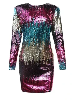 Women‘s Party Dress Sequin Dress Homecoming Dress Mini Dress Fuchsia Long Sleeve Color Block Sequins Sparkly Glitter Spring Fall Winter Crew Neck Fashion Winter Dress Wedding Guest Birthday -Party Prom Dresses Sales Store bgbywy1692614410686