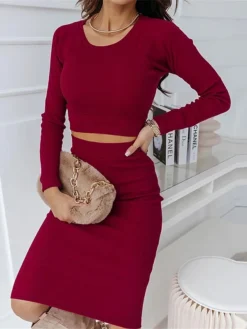 Women's Two Piece Dress Set Casual Dress Skirt Set Outdoor Daily Fashion Sexy Ribbed Midi Dress Crew Neck Long Sleeve Plain Regular Fit Black Wine Green Fall Winter S M L XL -Party Prom Dresses Sales Store djhyfi1695268224607