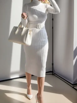 Women's Sweater Dress Jumper Dress Casual Dress Midi Dress Fashion Plain Outdoor Daily Going Out Turtleneck Long Sleeve 2023 Regular Fit Black White One Size