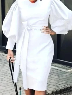 Women's Work Dress Casual Dress Sheath Dress Fashion Winter Dress Office Daily Midi Dress Lace Up Ruched Crew Neck Long Sleeve Plain Regular Fit Black White Red Fall Winter S M L XL XXL -Party Prom Dresses Sales Store jnjole1695635307151