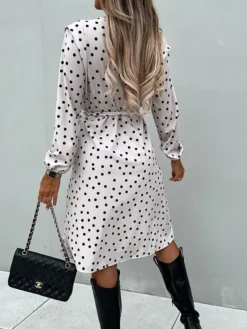 Women's Work Dress Sheath Dress Semi Formal Dress Fashion Midi Dress Lace Up Split V Neck Long Sleeve Polka Dot Loose Fit Black White Red Fall Winter S M L XL XXL -Party Prom Dresses Sales Store mbwjvv1692080012146