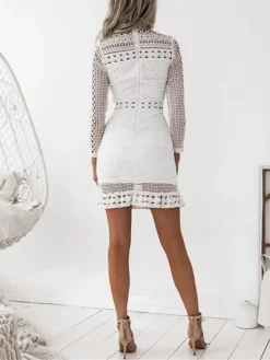 Women‘s Wedding Guest Dress Homecoming Dress Lace Dress Party Dress Sheath Dress Mini Dress White Long Sleeve Pure Color Lace Winter Fall High Neck Fashion Winter Dress Weekend 2023 5 Women‘s Wedding Guest Dress Homecoming Dress Lace Dress Party Dress Sheath Dress Mini Dress White Long Sleeve Pure Color Lace Winter Fall High Neck Fashion Winter Dress Weekend 2023 -Party Prom Dresses Sales Store meugcs1661418315672