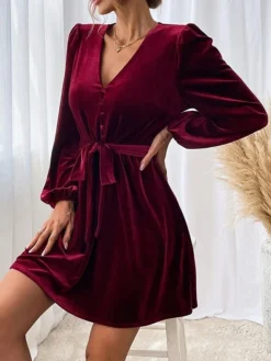 Women's Party Dress Velvet Dress Homecoming Dress Mini Dress Wine Long Sleeve Pure Color Ruched Spring Fall Winter V Neck Fashion Winter Dress Wedding Guest Evening Party Loose Fit 2023 S M L XL -Party Prom Dresses Sales Store qcaesr1692601279223