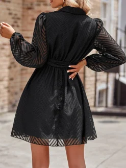 Women's Work Dress Casual Dress Sheath Dress Fashion Office Daily Workfashion Mini Dress Lace Up Ruched V Neck Long Sleeve Plain Loose Fit Black Wine Apricot Fall Winter S M L XL -Party Prom Dresses Sales Store shvfza1695363027342