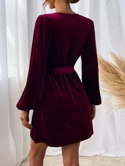 Women's Party Dress Velvet Dress Homecoming Dress Mini Dress Wine Long Sleeve Pure Color Ruched Spring Fall Winter V Neck Fashion Winter Dress Wedding Guest Evening Party Loose Fit 2023 S M L XL -Party Prom Dresses Sales Store umsjtc1692601279605